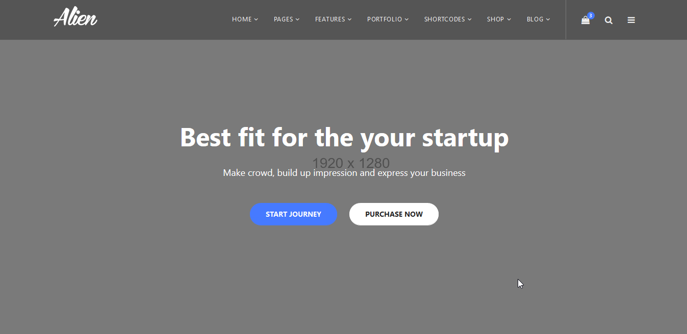 Startup Web Site